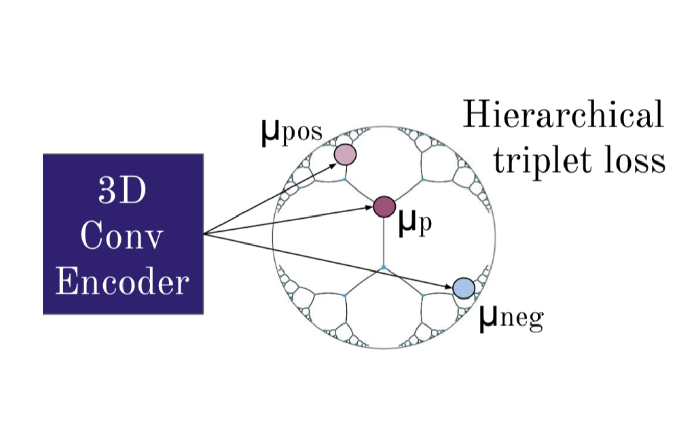 Hyperbolic representations paper thumbnail