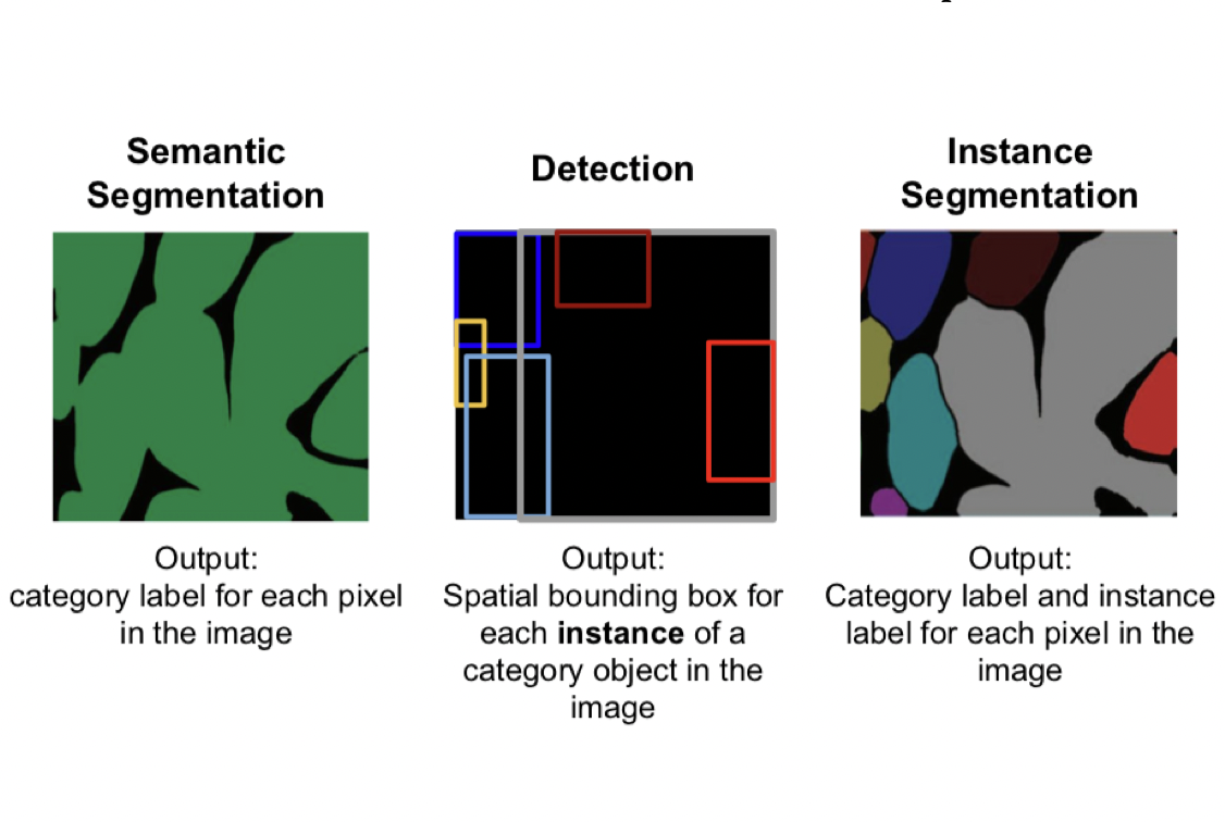 Stanford CS Honors Thesis thumbnail