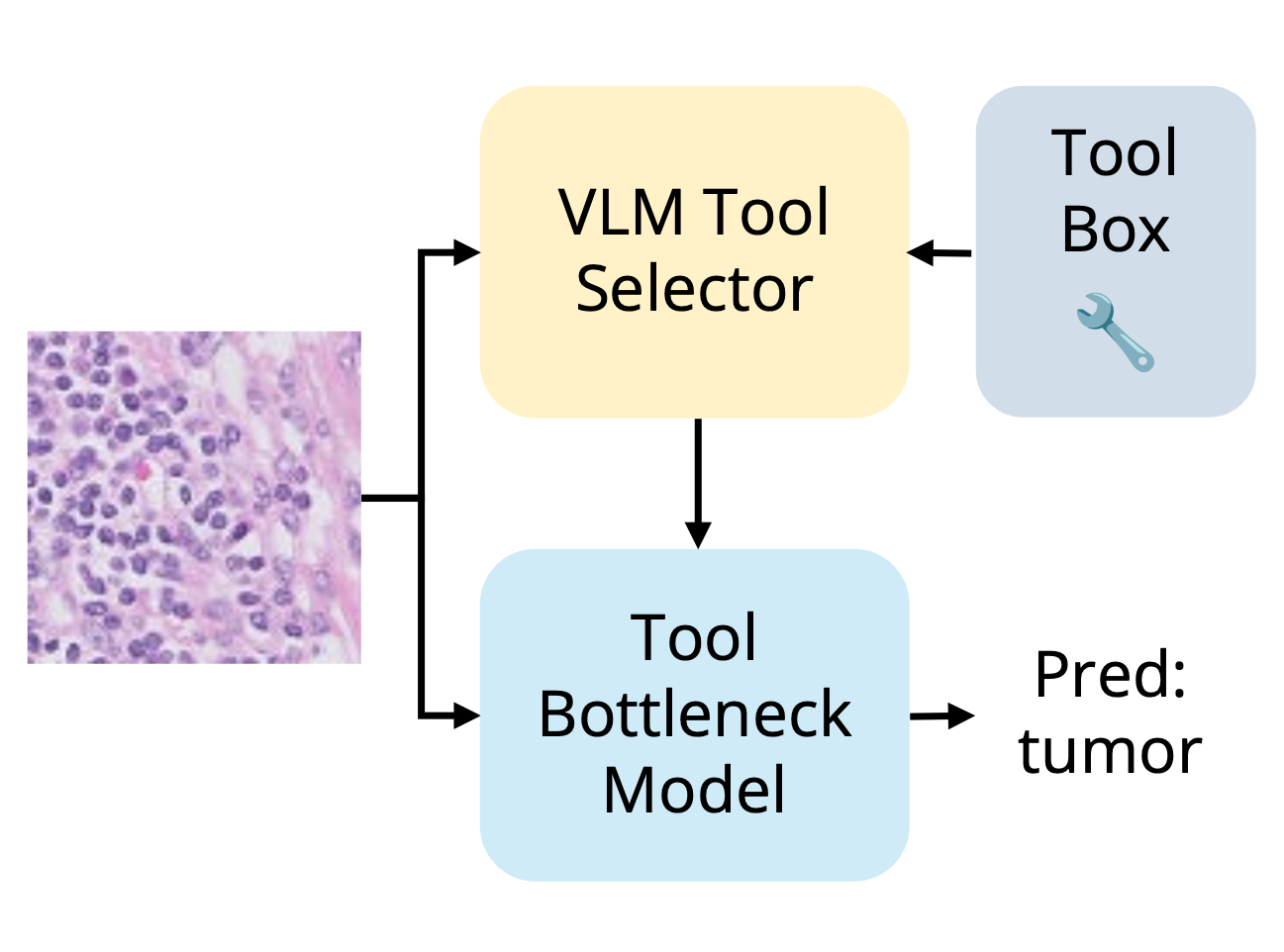 Tool Bottleneck paper thumbnail